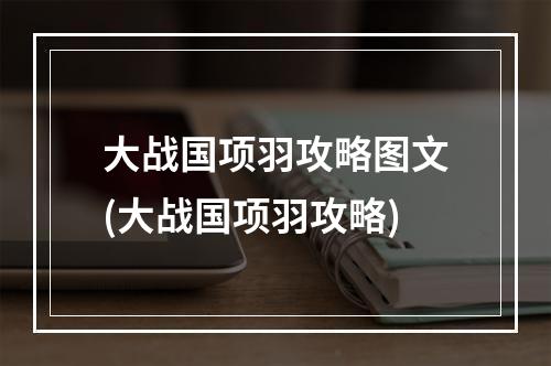 大战国项羽攻略图文(大战国项羽攻略)