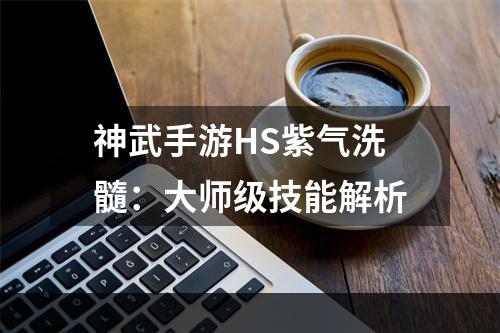 神武手游HS紫气洗髓：大师级技能解析