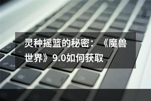 灵种摇篮的秘密：《魔兽世界》9.0如何获取