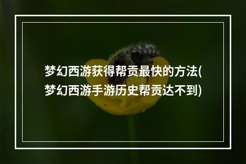 梦幻西游获得帮贡最快的方法(梦幻西游手游历史帮贡达不到)