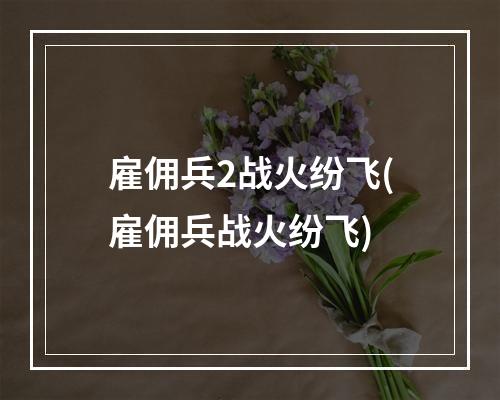 雇佣兵2战火纷飞(雇佣兵战火纷飞)