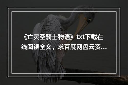 《亡灵圣骑士物语》txt下载在线阅读全文，求百度网盘云资源(亡灵圣骑士)