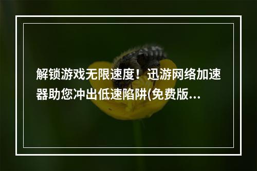 解锁游戏无限速度！迅游网络加速器助您冲出低速陷阱(免费版) (游戏速度大杀器，迅游网络加速器魔法加持让你畅玩游戏 (最新版本))