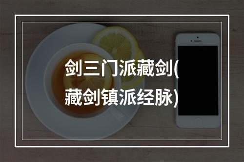 剑三门派藏剑(藏剑镇派经脉)