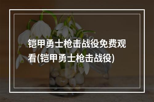 铠甲勇士枪击战役免费观看(铠甲勇士枪击战役)