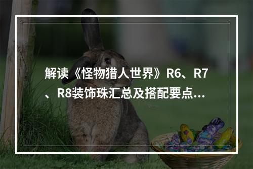 解读《怪物猎人世界》R6、R7、R8装饰珠汇总及搭配要点玩转游戏新维度