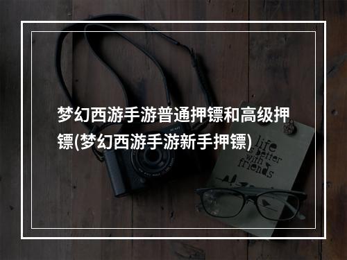 梦幻西游手游普通押镖和高级押镖(梦幻西游手游新手押镖)