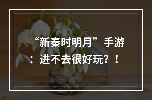 “新秦时明月”手游：进不去很好玩？！