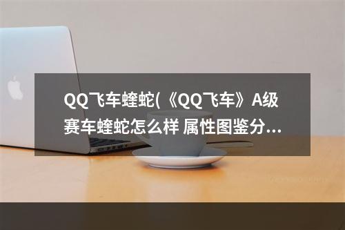 QQ飞车蝰蛇(《QQ飞车》A级赛车蝰蛇怎么样 属性图鉴分享 QQ飞车手游)