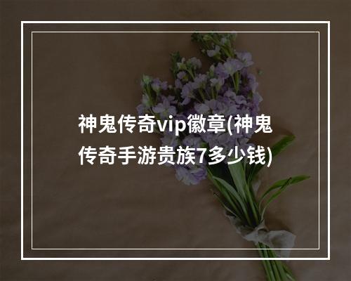 神鬼传奇vip徽章(神鬼传奇手游贵族7多少钱)