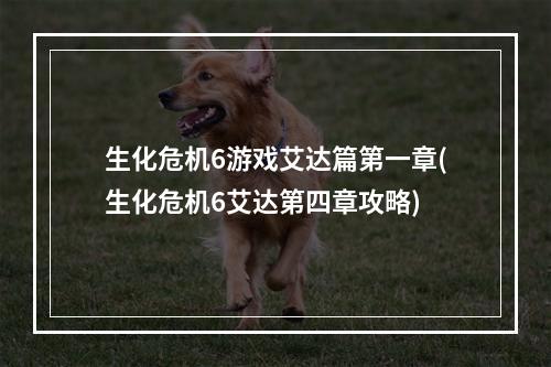 生化危机6游戏艾达篇第一章(生化危机6艾达第四章攻略)