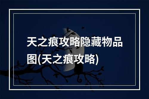 天之痕攻略隐藏物品图(天之痕攻略)