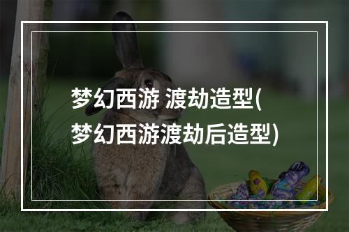 梦幻西游 渡劫造型(梦幻西游渡劫后造型)