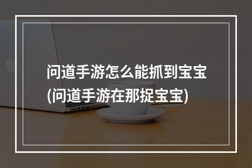 问道手游怎么能抓到宝宝(问道手游在那捉宝宝)