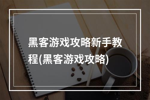 黑客游戏攻略新手教程(黑客游戏攻略)