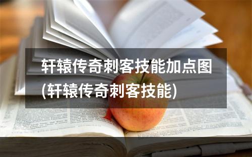 轩辕传奇刺客技能加点图(轩辕传奇刺客技能)