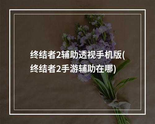 终结者2辅助透视手机版(终结者2手游辅助在哪)