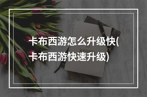 卡布西游怎么升级快(卡布西游快速升级)