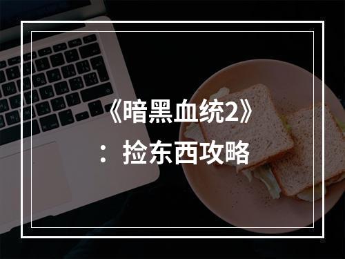 《暗黑血统2》：捡东西攻略