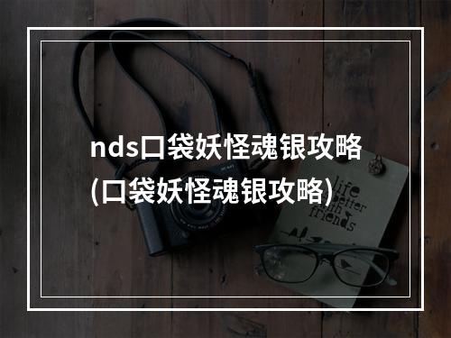 nds口袋妖怪魂银攻略(口袋妖怪魂银攻略)