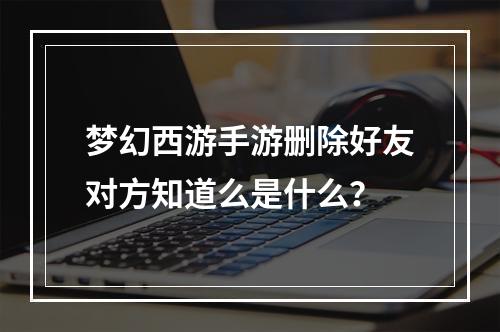 梦幻西游手游删除好友对方知道么是什么？