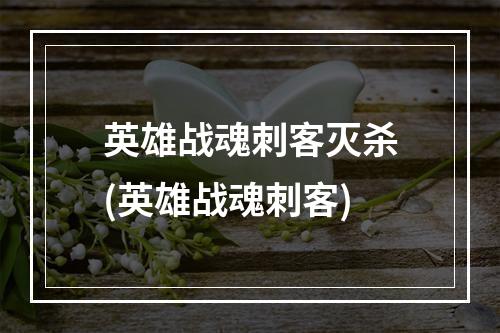 英雄战魂刺客灭杀(英雄战魂刺客)