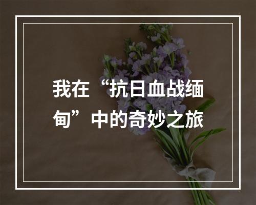 我在“抗日血战缅甸”中的奇妙之旅