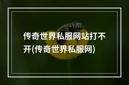 传奇世界私服网站打不开(传奇世界私服网)