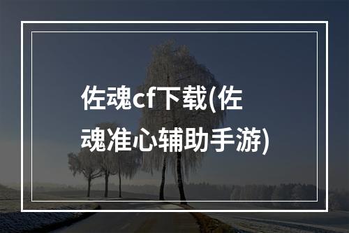 佐魂cf下载(佐魂准心辅助手游)