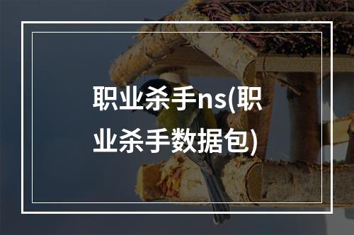 职业杀手ns(职业杀手数据包)