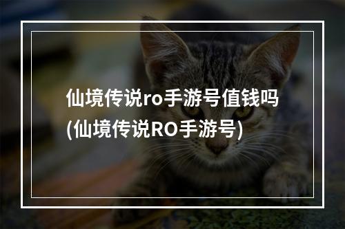 仙境传说ro手游号值钱吗(仙境传说RO手游号)