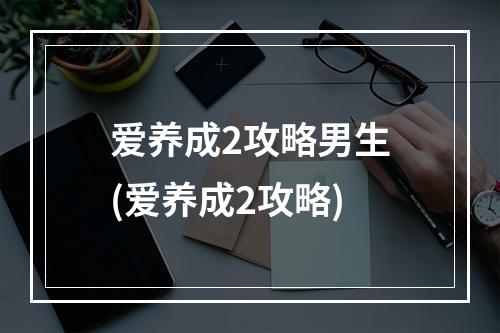 爱养成2攻略男生(爱养成2攻略)