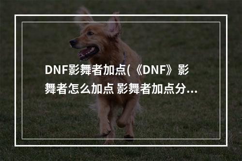 DNF影舞者加点(《DNF》影舞者怎么加点 影舞者加点分享 )