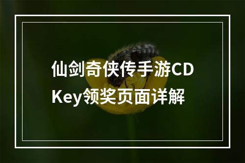 仙剑奇侠传手游CDKey领奖页面详解