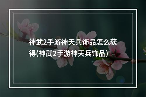 神武2手游神天兵饰品怎么获得(神武2手游神天兵饰品)