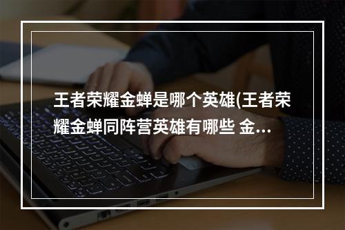 王者荣耀金蝉是哪个英雄(王者荣耀金蝉同阵营英雄有哪些 金蝉同阵营英雄一览 王 )