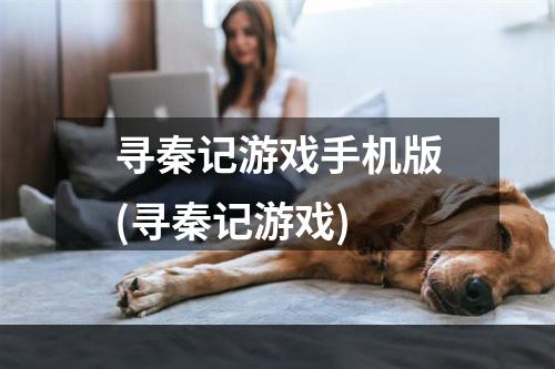 寻秦记游戏手机版(寻秦记游戏)