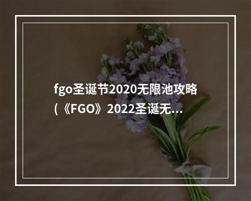 fgo圣诞节2020无限池攻略(《FGO》2022圣诞无限池活动指南 )