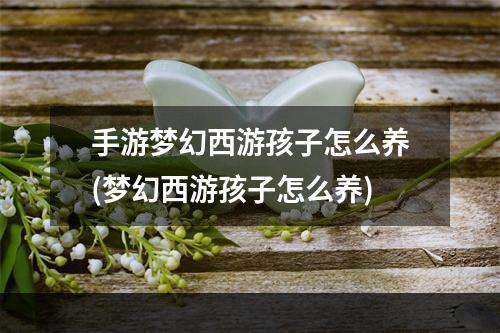 手游梦幻西游孩子怎么养(梦幻西游孩子怎么养)