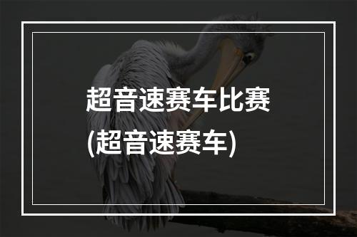 超音速赛车比赛(超音速赛车)