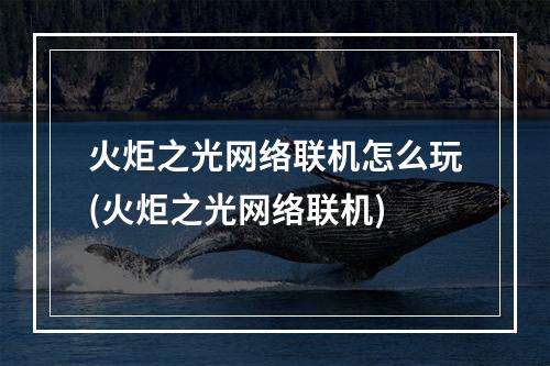 火炬之光网络联机怎么玩(火炬之光网络联机)