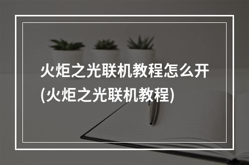 火炬之光联机教程怎么开(火炬之光联机教程)