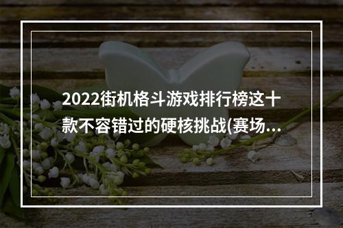 2022街机格斗游戏排行榜这十款不容错过的硬核挑战(赛场新秀闪亮登场)