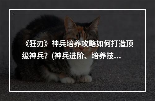 《狂刃》神兵培养攻略如何打造顶级神兵？(神兵进阶、培养技巧详解）