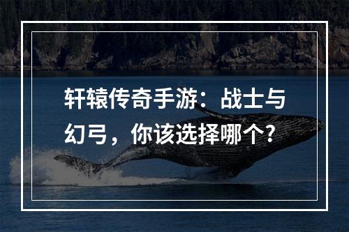 轩辕传奇手游：战士与幻弓，你该选择哪个?