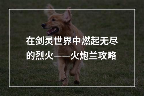 在剑灵世界中燃起无尽的烈火——火炮兰攻略