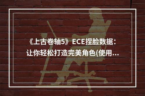 《上古卷轴5》ECE捏脸数据：让你轻松打造完美角色(使用方法)文章