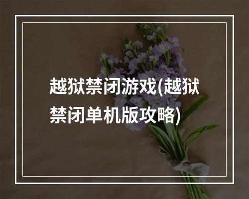 越狱禁闭游戏(越狱禁闭单机版攻略)