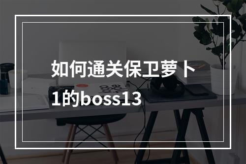 如何通关保卫萝卜1的boss13