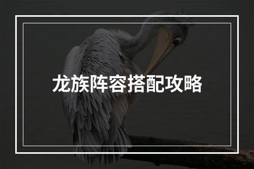 龙族阵容搭配攻略